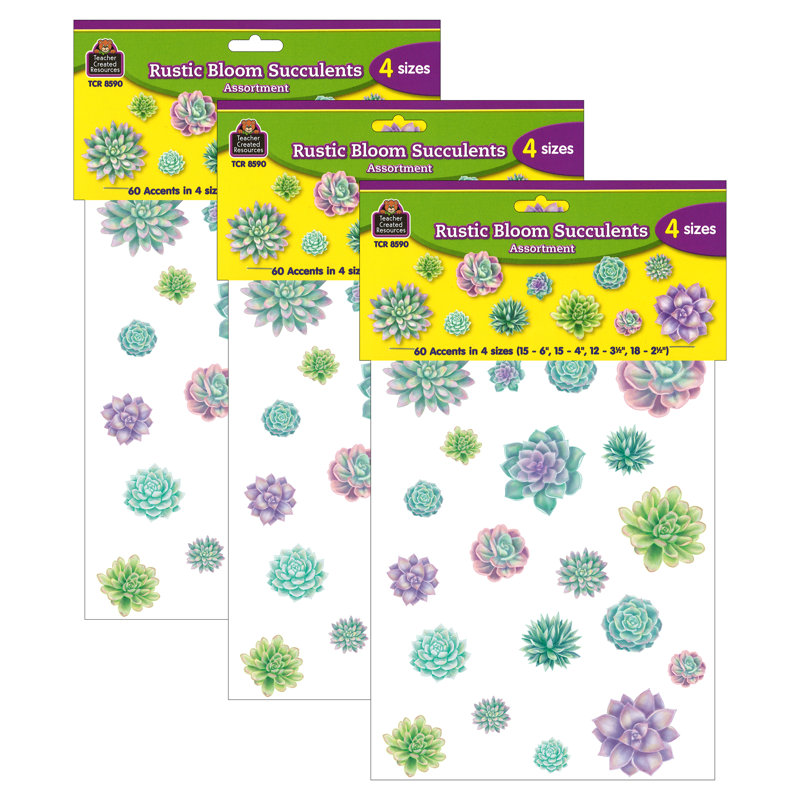Plantes succulentes