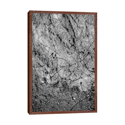 Big Sur Wild Flowers V 1 Piece Wall Art on Canvas