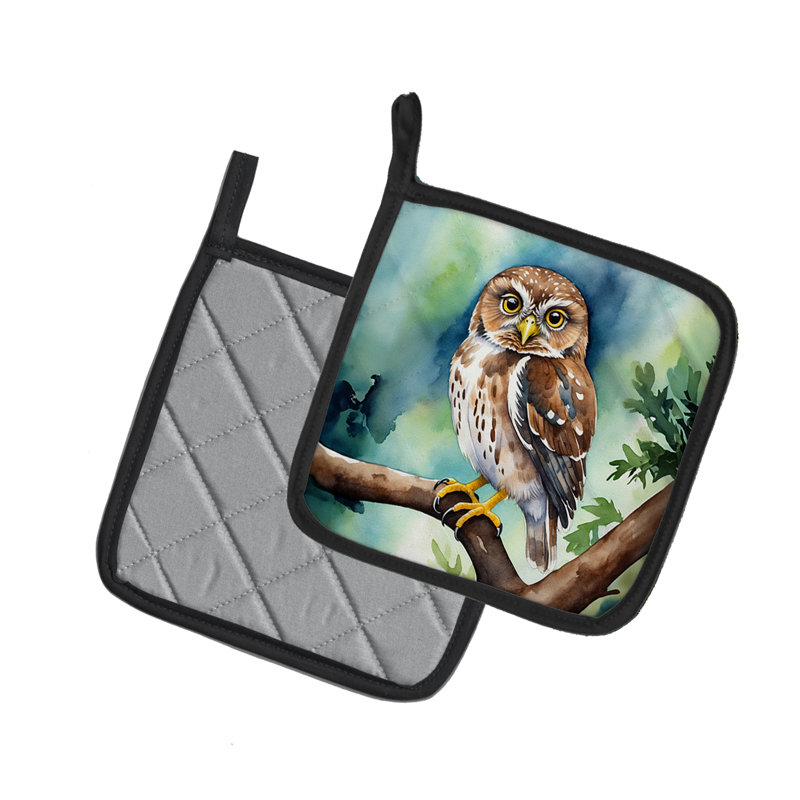 Paire de poignées Northern Pygmy Owl