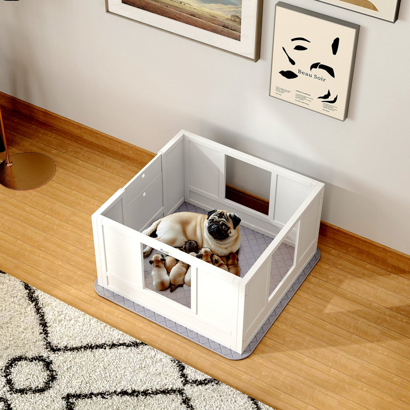 Boîte de mise bas pour chien Pawhut