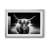 " Photography Study Highland Cattle "-845798269-845798019-845788058