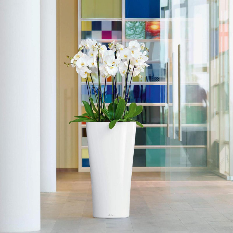 Delta Premium Pot Planter, White, 56cm H x 30cm W x 30cm D