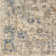 Gorsuch Oriental Indoor Rug