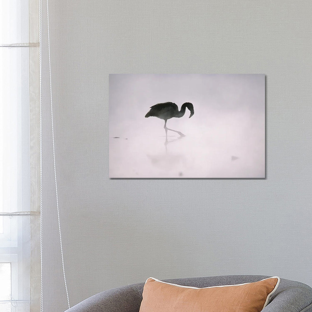 A Flamingo Wades In A Thermal Hot Spring In Chile's Atacama Desert by Joel Sartore - Gallery-Wrapped Canvas Giclée on Ca...