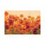«Summer Poppies» par Silvia Vassileva - reproduction d'art-52529994-52529998