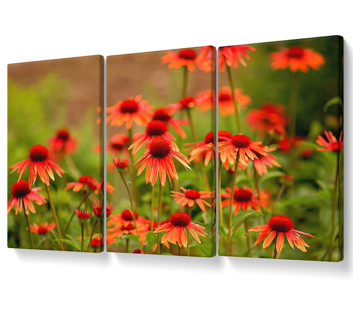 Ebern Designs Variety Daisies - 3 Piece Wrapped Canvas Graphic Art ...