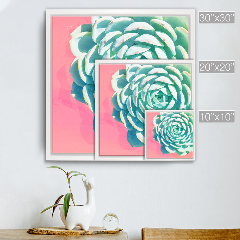 « réveil ii », impression sur toile succulent, H 10 po x l 10 po x P 1,5 po, Cadre blanc