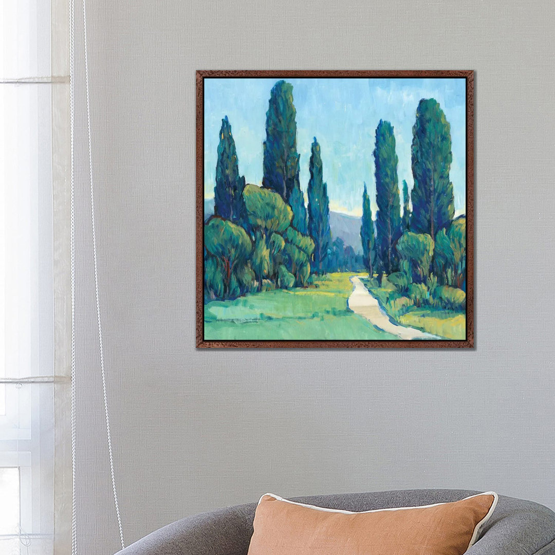 Cypress Path II von Tim OToole - Galerieverpackte Leinwand Giclée auf Leinwand