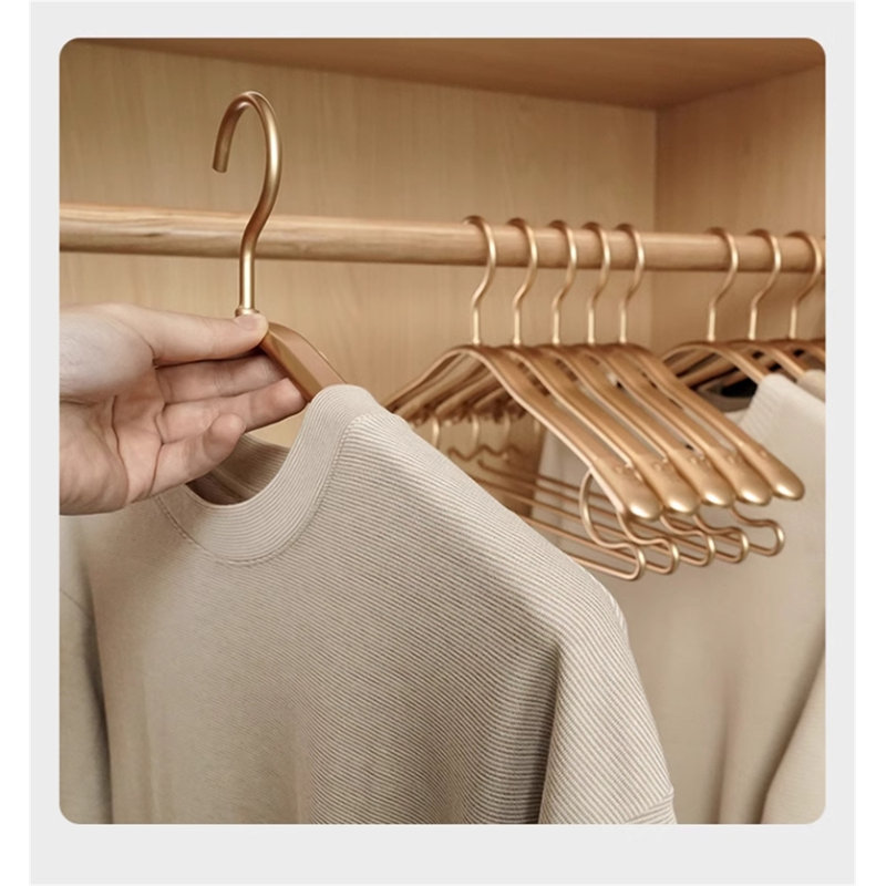Space Aluminum Alloy Clothes Hanger, 20