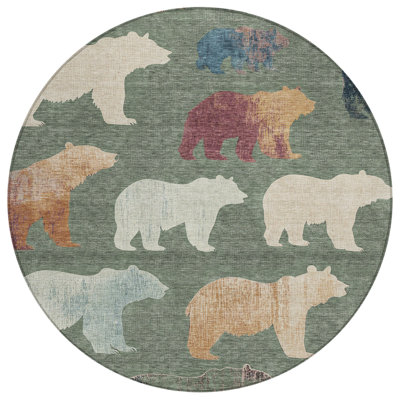 Machine Washable Indoor/Outdoor Chantille ACN2338 Lodge Rug