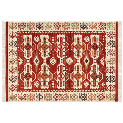 Baudilia Southwestern Hand Woven Area Rug