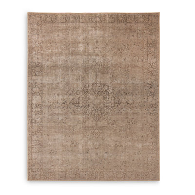 Morelli Oriental Area Rug in Alani Natural