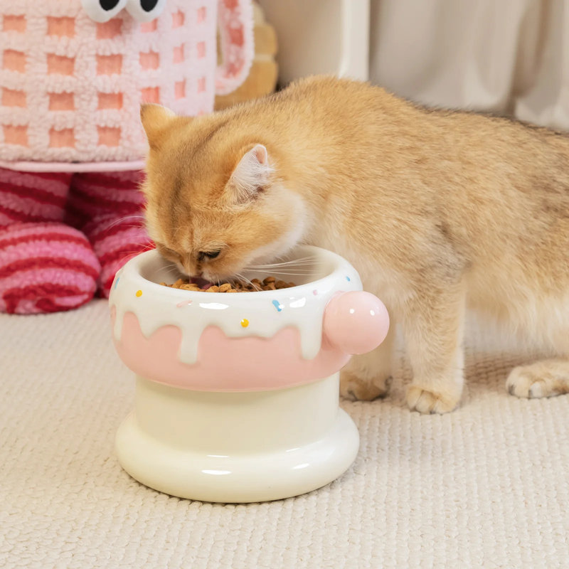 Double bol à chat 27 oz, mignon plat pour animaux de compagnie, antidérapant, lavable au lave-vaisselle