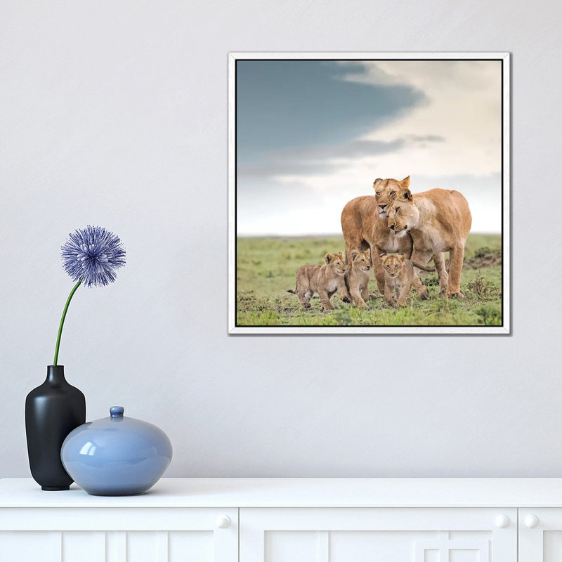 Colour Lioness & Cubs by Klaus Tiedge - Print on Canvas, 45.72 cm H x 45.72 cm W, White Framed Canvas