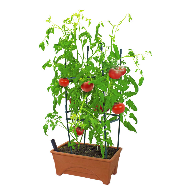 Fentress Elevated Planter, Terra Cotta