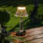 Faycal Acrylic Desk Lamp