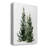 " Simple Evergreens I "-1480364603
