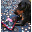 Beach Overlay Picnic Blanket