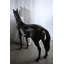 Grande sculpture cheval en argent taille réelle sur pied 76 po x 19 po x H 65 po