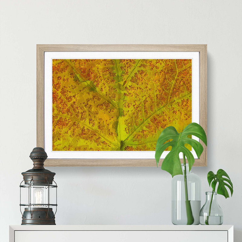 Veins of the Leaf in Abstract - Picture Frame Graphic Art Print, 50cm H x 76cm W x 2cm D, Oak