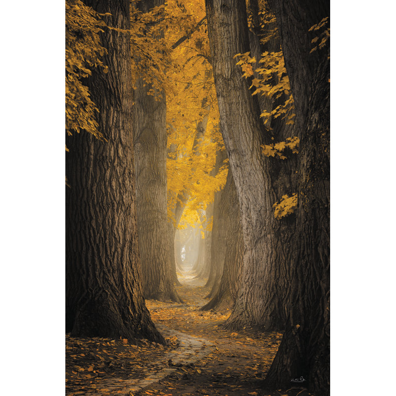 Chemin d'automne, H 18 po x l 12 po, Papier avec cadre unique doré, Oui