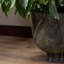 Avenza Planter