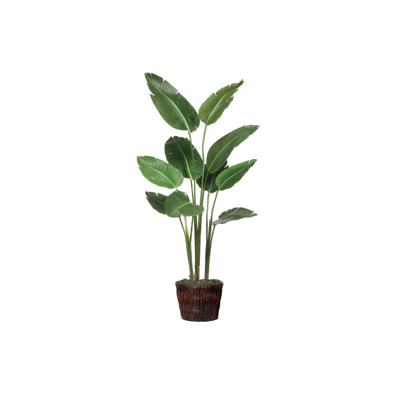 Faux Elephant Ear Tree in Basket