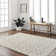 Harrisonburg Shag Area Rug