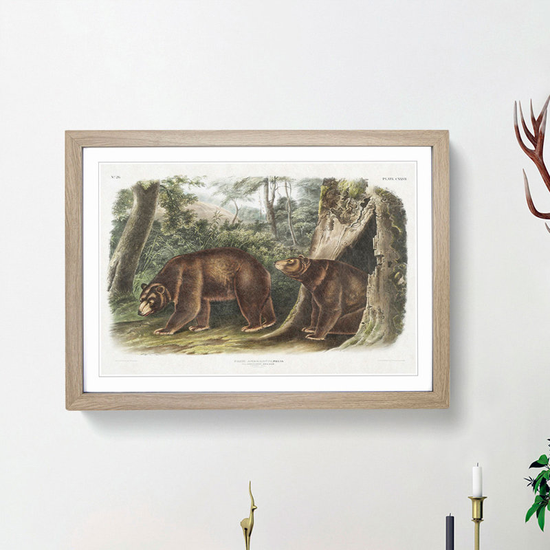 Cinnamon Bears by J.W. Audubon - Picture Frame Painting Print, 27cm H x 36cm W x 2cm D, Oak Framed