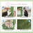 Cactus Hammock Cat Tree Scratcher