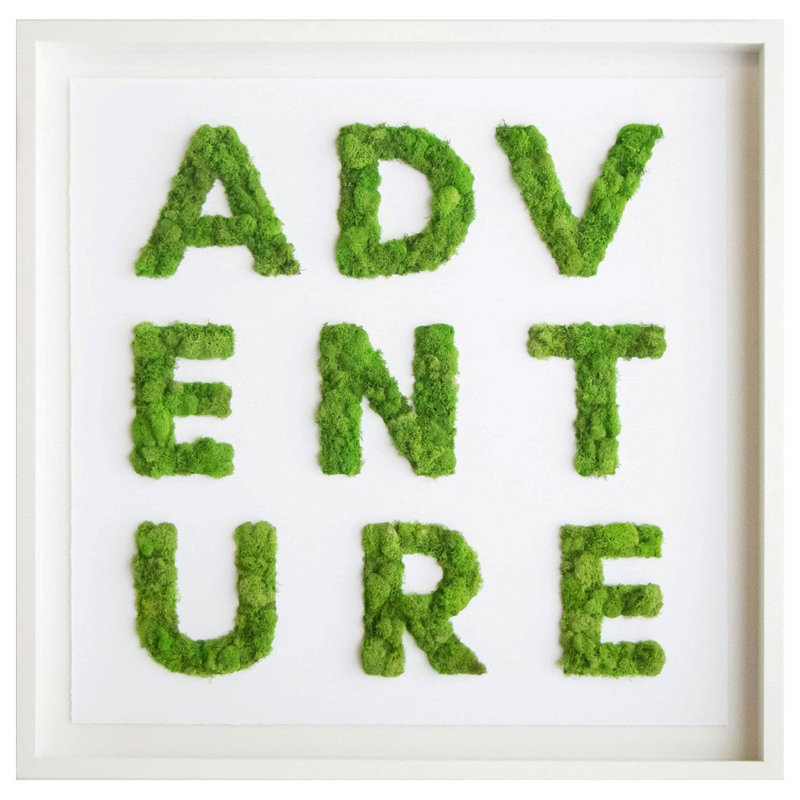 Adventure Typography Moss Shadowbox by Oliver Gal