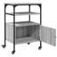 76cm H x 50cm W Printer Stand-1606943533