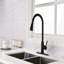 Robinet de cuisine avec douchette extractible