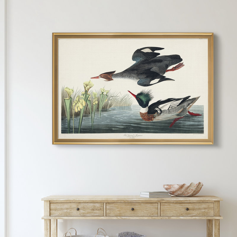 Red Breasted Merganser - reproduction d'art sur toile encadrée, H 26,5 po x l 36,5 po x P 1,5 po, Doré