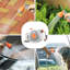 Retractable Garden Hose 5/8" x 100ft. Wall Mounted with Automatic Rewind. 9-Pattern Sprayer Nozzle. Adjustable Length Lock. Durable Outdoor Use