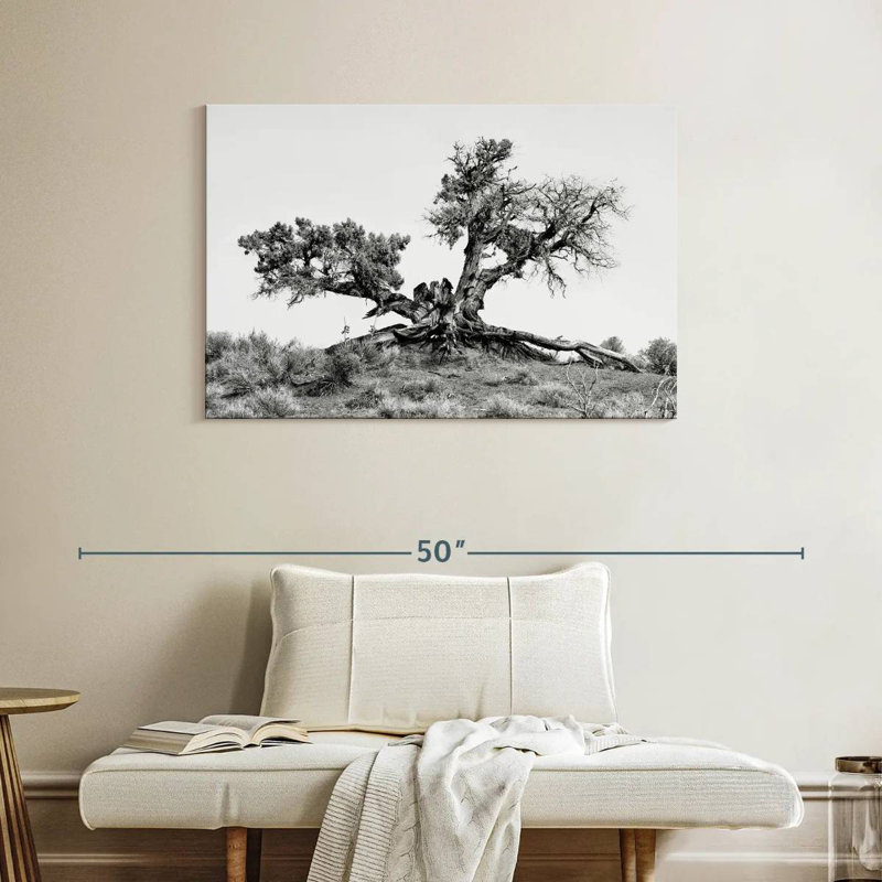 Arbre Harnek Arizona Desert, H 26 po x l 39 po