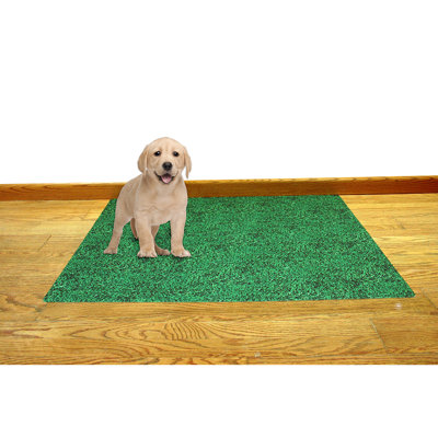 Washable Pee Pad for Dogs - Waterproof, Absorbent, Non-Slip, Reusable Pet Training Potty Puppy Mats, Housebreaking, Incontinence Bed Pads, Crate/Kennel