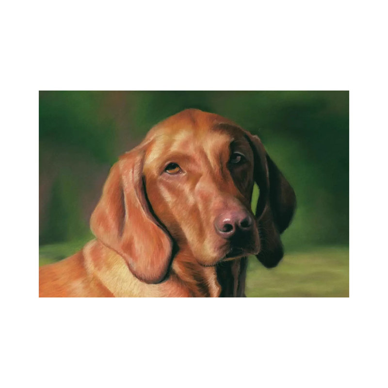 Vizsla by Richard Macwee - Wrapped Canvas Gallery-Wrapped Canvas Giclée, 45.72 cm H x 66.04 cm W
