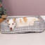 Gaven Dog Cushion in Grey-171121063