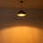 1 - Light 15.8” Single Dome Pendant