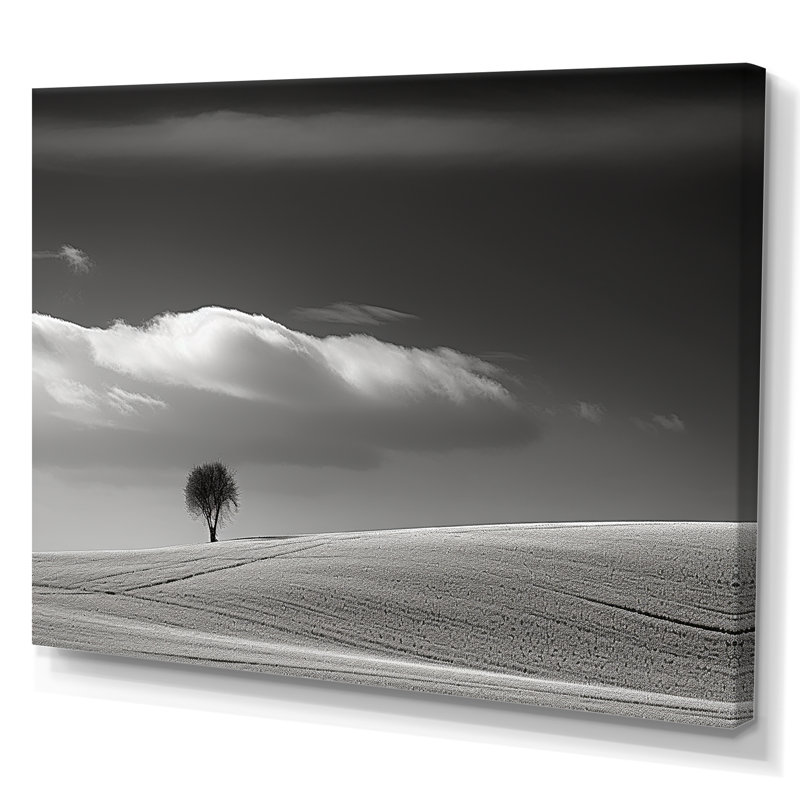 Paysage d'hiver photo III sur toile, H 12 po x l 20 po x P 1 po, Toile tendue