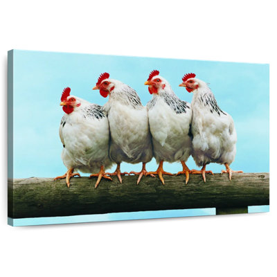 Brampt Chicken Friends