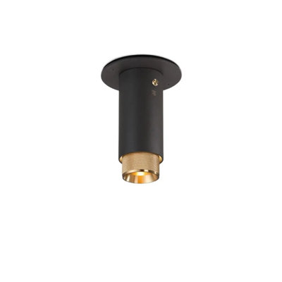 1 - Light Flush Mount