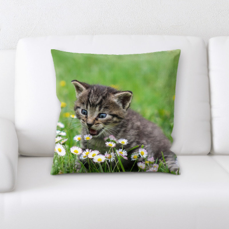 Coussin kitty