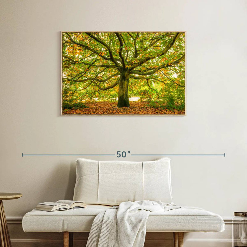 Chêne de Londres, Cadre flottant en bois naturel, 37 po x 25 po