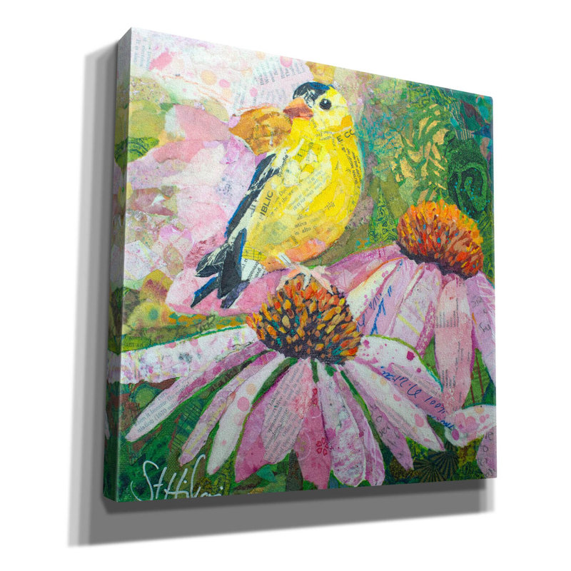 «Finch on Coneflowers» par St. Hilaire Elizabeth, art mural sur toile, H 12 po x l 12 po x P 0,75 po