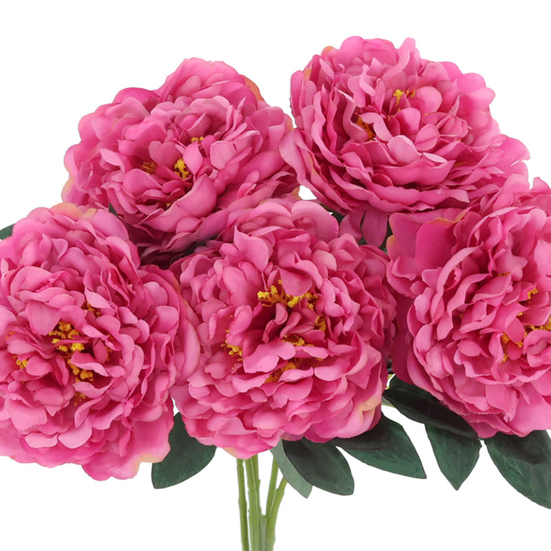 Peony Bunch - Set of 6, Pink