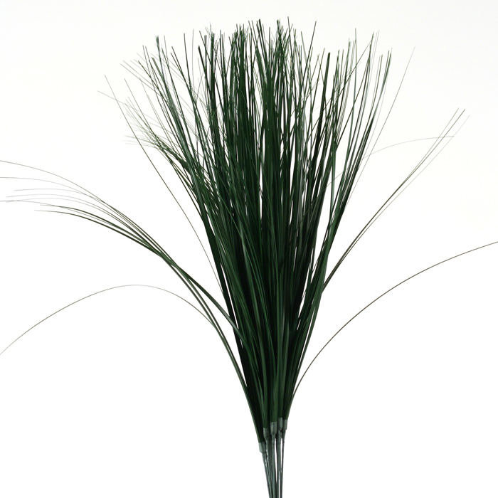 Cluster d'herbe artificielle isolyptus