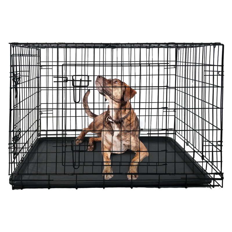 Dog Wood Dog House