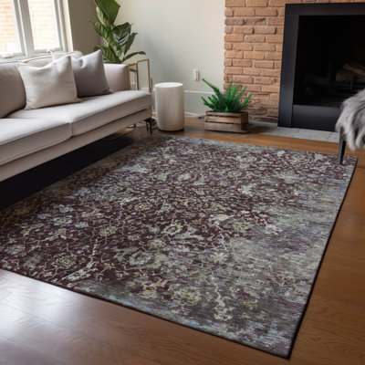 Machine Washable Indoor/Outdoor Earleville ACN2359 Traditional Rug